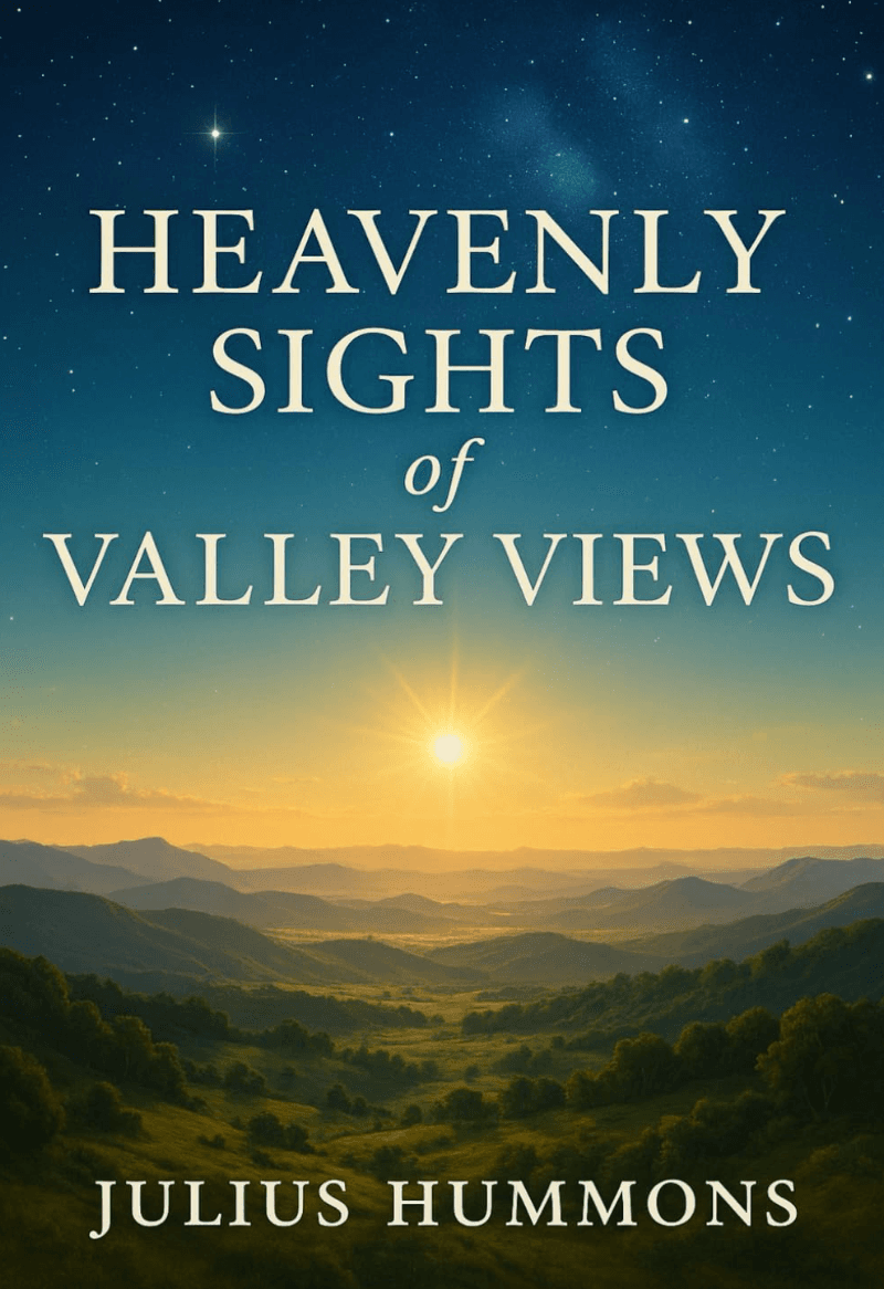Heavenly Sights of Valley Views: Discerning the Landscape of Promise book cover