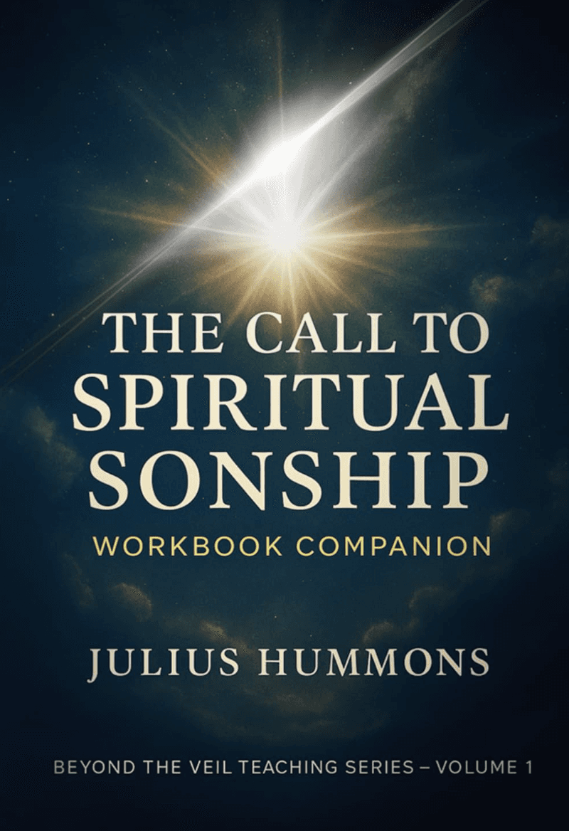 The Call to Spiritual Sonship: Workbook Companion book cover