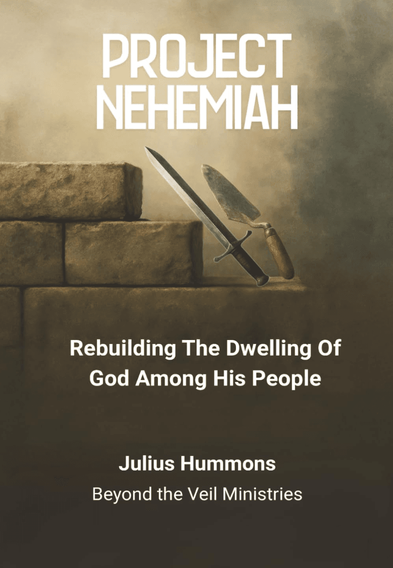Project Nehemiah book cover