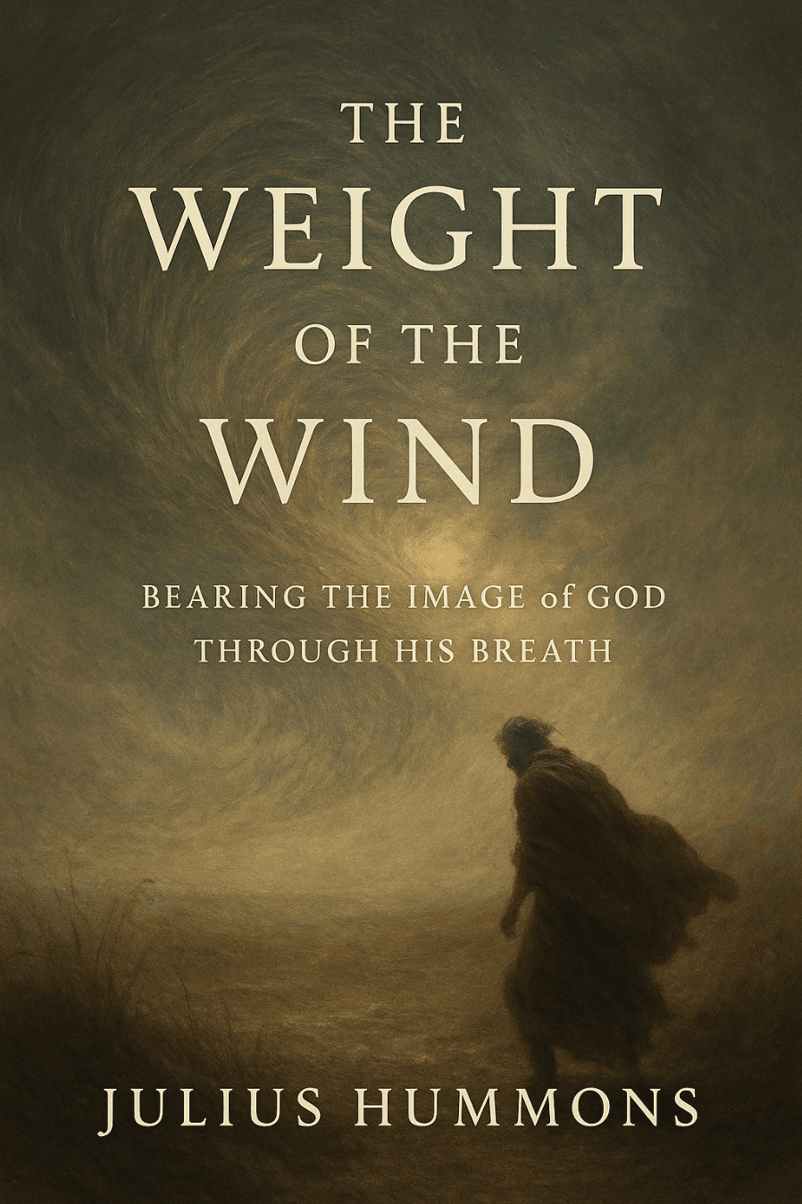 The Weight of the Wind book cover
